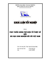 Phát triển Chính phủ điện tử ở một số nước - Bài học kinh nghiệm đối với việt nam
