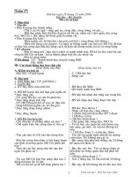 Giáo án Tiếng việt - Lớp 3 - Tuần 17