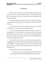 Hoàn thiện kế toán nghiệp vụ XK tại Cty TECHSIMEX