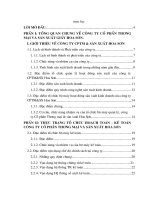 Thực trạng tổ chức hạch toán - kế toán tại Công ty Cổ phần và sản xuất Hoa Sơn