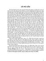 Tổ chức kế toán NVL, công cụ, dụng cụ tại công ty Vit_metal