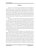 Hoàn thiện kế toán CPSX và tính GTSP tại Cty cổ phần tư vấn xây dựng giao thông 8