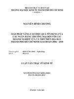 Giải pháp nâng cao hiệu quả tín dụng của Ngân hàng Thương mại đối với các doanh nghiệp vừa và nhỏ trên địa bàn TP. HCM