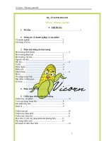 chiến lược thâm nhập thị trường mỹ công ty VIcorn