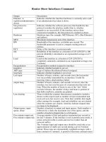 Tài liệu mở rộng quản trị mạng Router show interfaces command