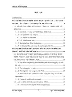 Phân tích tình hình hiện tại về sản xuất kinh doanh của công ty TNHH Quốc tế Hải Anh