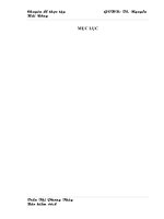 Hoạt động xúc tiến bán hàng của Công ty CP bảo hiểm Petrolimex - PJICO