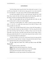 Kế toán nguyên vật liệu, Cụ dụng cụ tại Công ty May xuất khẩu Phương Mai.doc