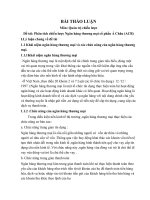 Phân tích chiến lược Ngân hàng thương mại cổ phần Á Châu (ACB)