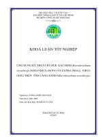 ứng dụng kỹ thuật RT-PCR xác định