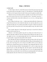 Đánh giá khả năng bắt aflatoxin G1 của cột ái lực miễn dịch do Viện Pasteur Tp.HCM sản xuất