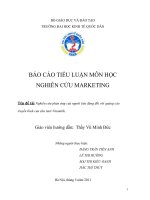 Nghiên cứu phản ứng của người tiêu dùng đối với quảng cáo truyền hình của sữa tươi Vinamilk (52011)