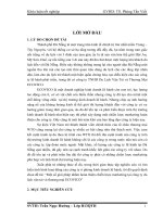 Một số giải pháp nhằm hoàn thiện chiến lược marketing tại Công ty ECOVICO