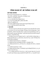 Tổng quan về hệ thống vi ba số 