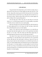 Hoàn thiện công tác kế toán tiêu thụ Hàng hóa và xác định kết quả tiêu thụ tại Cty TNHH Xuân Dược