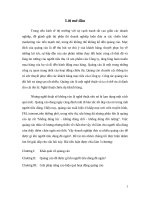 Tiểu luận quản trị marketing