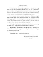 Đô thị hóa ảnh hưởng đến nông nghiệp việt Nam