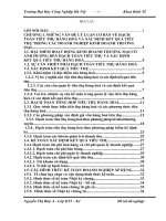 Hoàn thiện công tác hạch toán tiêu thụ hàng hoá và xác định kết quả tiêu thụ tại công ty TNHH SX – XNK Thiên Hoàng