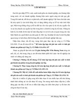 Kế toán bán hàng và xác định kết quả bán hàng tại Công ty TNHH Việt Đức Hải Dương