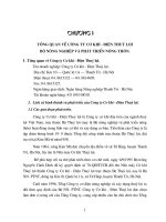 Công ty cơ khí- điện thủy lợi