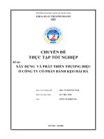 Xây dựng và phát triển thương hiệu ở Công ty cổ phần bánh kẹo Hải Hà