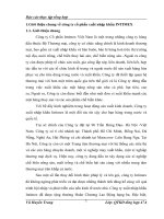 Báo cáo về công ty Cổ phần xuất nhập khẩu INTIMEX