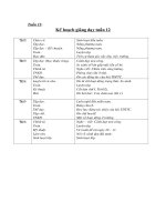 Tài liệu Giáo án môn Tiếng Việt tuần 12