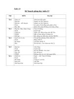 Tài liệu Giáo án môn Tiếng Việt tuần 13