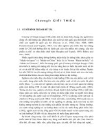 ảnh hưởng của ấn tượng nước xuất xứ đối với giá trị hàng Việt Nam tại thị trường Nhật 2