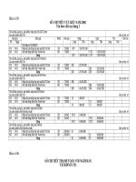 Sổ chi tiết vật liệu năm 2001