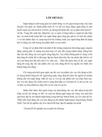 Thực trạng cho vay tiêu dùng tại chi nhánh ngân hàng công thương Thanh Xuân