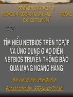 Tìm hiểu Netbios trên TCP/IP và ứng dụng giao diện Netbios truyền thông báo qua mạng ngang hàng