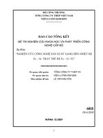 Nghiên cứu công nghệ sản xuất gang bền nhiệt hệ Fe-Al thay thế hệ Fe-Cr-Ni.