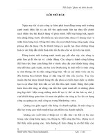 Thực trạng và giải pháp nhằm nâng cao hiệu quả của hoạt động quảng cáo trong doanh nghiệp