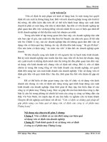 Vốn cố định và những giải pháp để góp phần nâng cao hiệu quả sử dụng vốn cố định của công ty cổ phần may Thăng Long