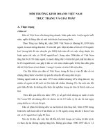 Thực trạng và giải pháp cho môi trường kinh doanh tại Việt Nam