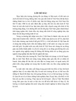 Các hoạt động Marketing của tỉnh Thái Bình