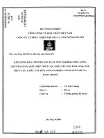 Xây dựng dây chuyền sản xuất thử nghiệm chất lỏng