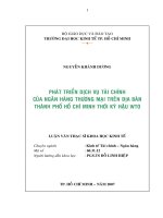 Phát triển dịch vụ tài chính của ngân hàng trên địa bàn TPHồ Chí Minh thời kì hậu WTO