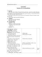 Giáo án môn Tập đọc lớp 3 - tuần 30