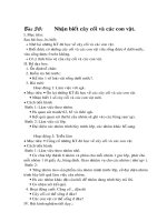 Giáo án Tự nhiên và Xã hội lớp 2 - Bài 30