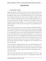 Thực trạng và giải pháp nhằm đẩy mạnh sự phát triển ngành công nghiệp ô tô việt nam