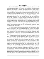 Đầu tư nhằm nâng cao năng lực cạnh tranh của Công ty Cổ phần kinh doanh phát triển nhà và đô thị Hà Nội .doc