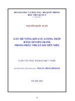 Gây mê vòng kín lưu lượng thấp sevoflurane trong phẫu thuật sỏi tiết liệu