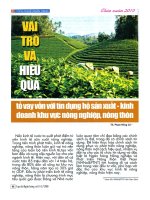 Vai trò và hiệu quả tổ vay vốn với tín dụng hộ sản xuất kinh doanh khu vực nông nghiệp, nông thôn