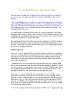 Sản phẩm mới ra thị trường ... thành công nhờ lixăng