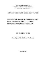 Các giải pháp vận dụng marketing điện tử (e-marketing) cho các doanh nghiệp xuất nhập khẩu Việt Nam