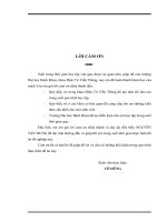 Mạng truy nhập tại Việt Nam