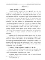 Các giải pháp nhằm nâng cao năng lực cạnh tranh của Công ty Du lịch Hương Giang Chi nhánh Hà Nội