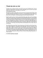 Thành đạt nhờ cây bút